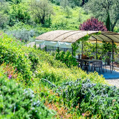 Luxury Estate Trasimena *